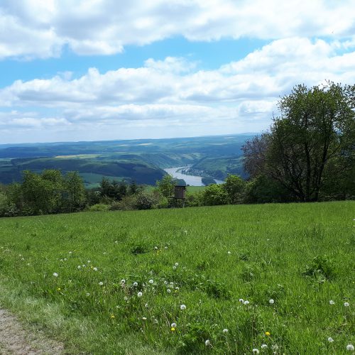 Wander- Radtouren  und Besichtigungstermine