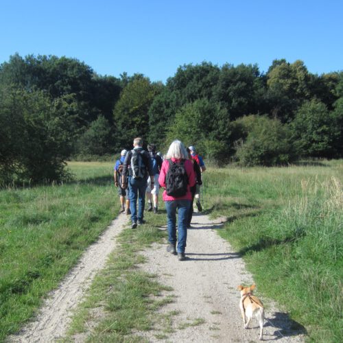 Wanderungen, Rad- und Motorradtouren, Besichtigungen ’24